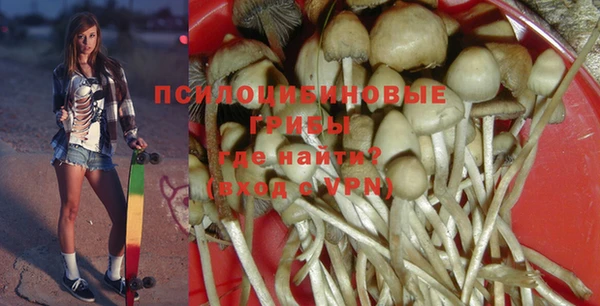 стафф Алексеевка