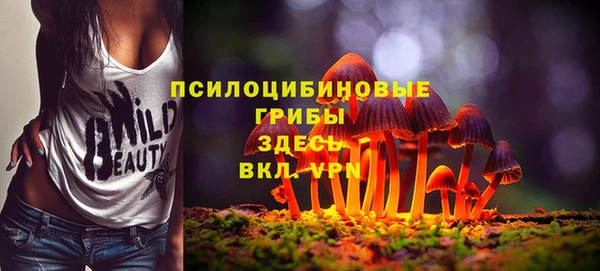 прущая мука Армянск